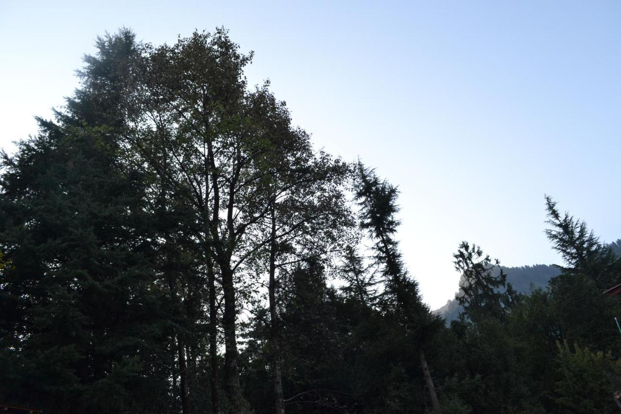 Forest Wood Cottage Manāli Exteriör bild